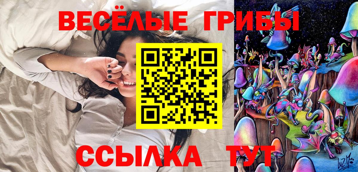 Батайск  Галлюциногенные грибы GOLDEN TEACHER  Вход с VPN  Галлюциногенные грибы Magic Shrooms 